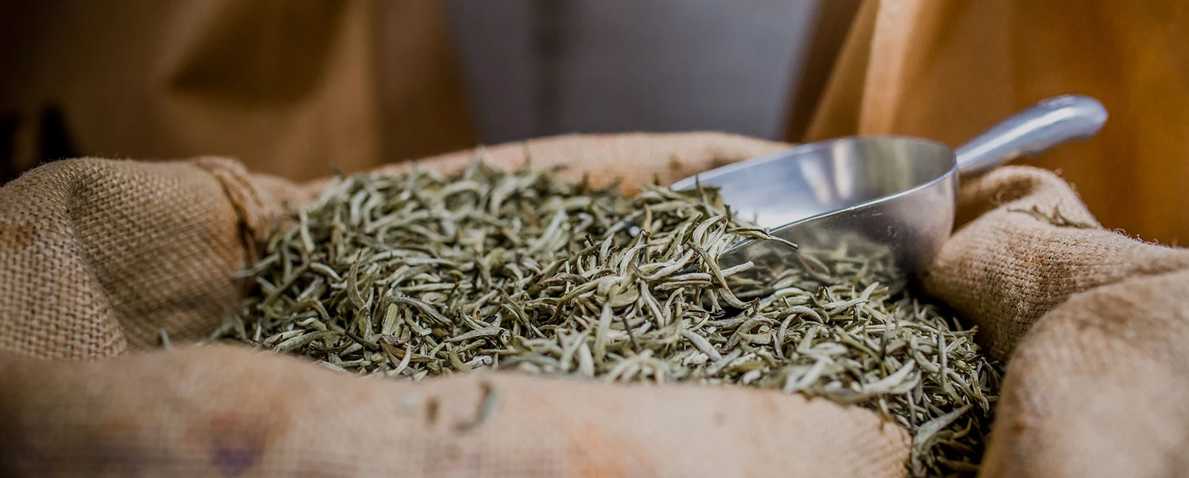 Metallschaufel auf einem mit getrockneten Teeblättern gefüllten Sack aus Sackleinen, Hintergrund zur Hervorhebung unscharf.