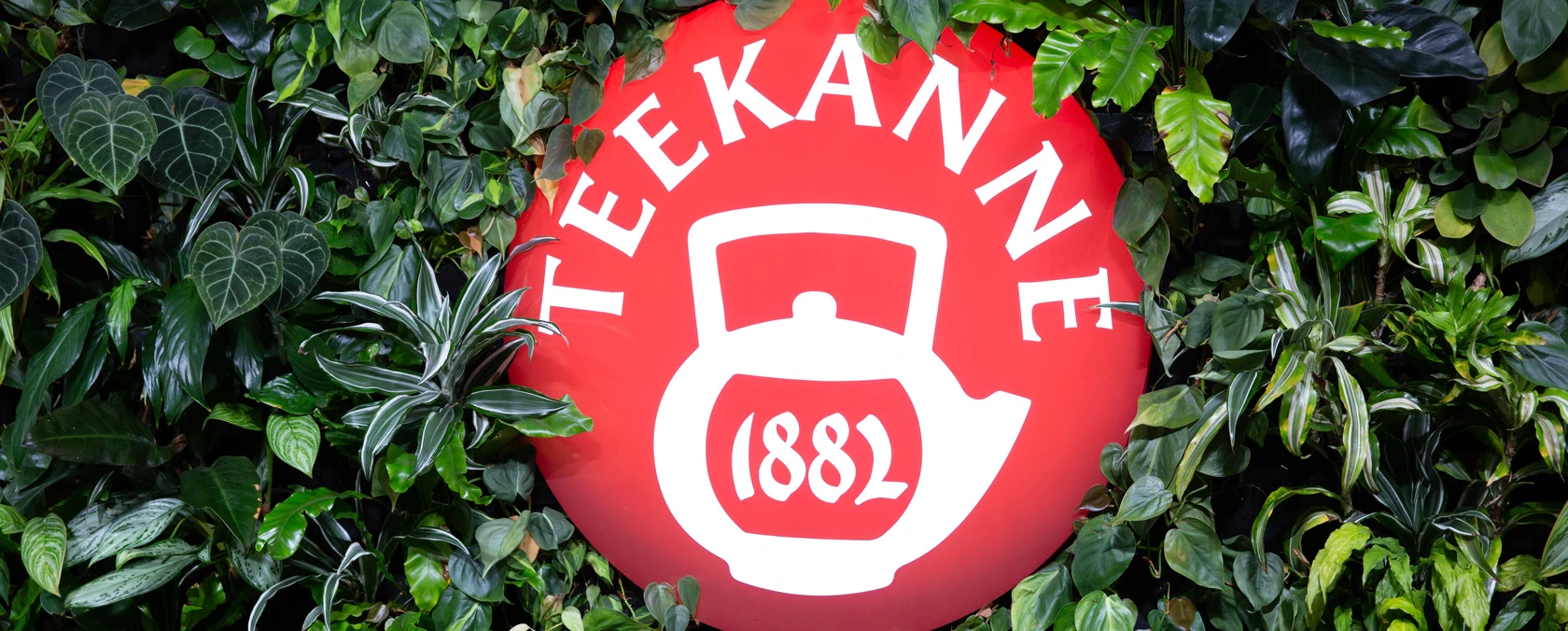 Rotes Teekanne 1882 Schild mit Teekanne Illustration inmitten üppiger grüner Blätter und Pflanzen.