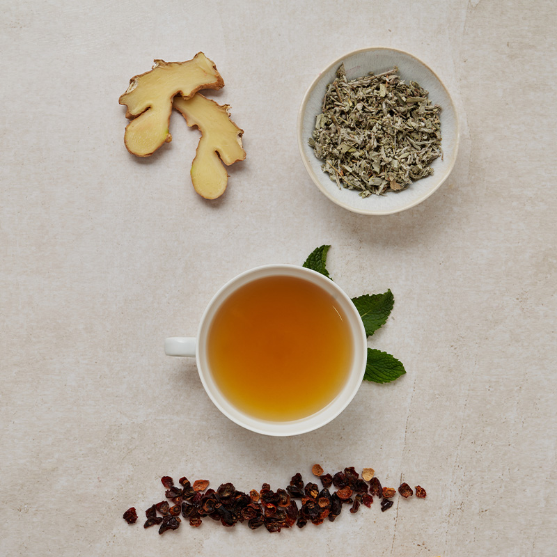 Kräutertee mit Minze, Schale mit getrockneten Kräutern, Ingwerscheiben und getrockneten Beeren auf hellem Untergrund.