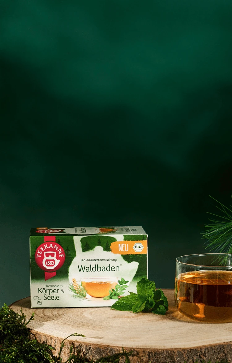 Eine Teetasse aus Glas und eine Schachtel mit Teebeuteln auf einem moosbewachsenen Baumstumpf mit Tannenzapfen und Ästen.