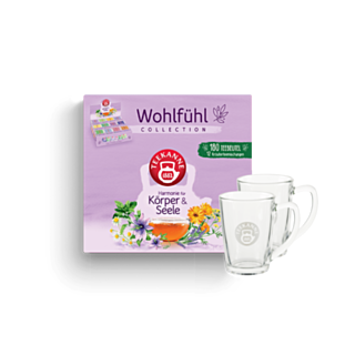 Wohlfühl-Collection Box Geschenkset - 180 Beutel