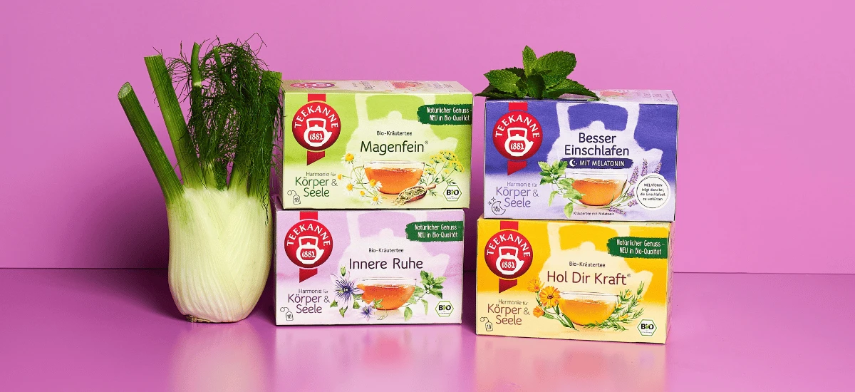 Vier Schachteln „Teekanne BIO Waldbaden®“ sind neben einer Fenchelknolle auf einer rosa Fläche vor einem rosa Hintergrund gestapelt. Die Bio-Kräutertees haben eine farbenfrohe Verpackung in Grün, Lila, Gelb und Blau.