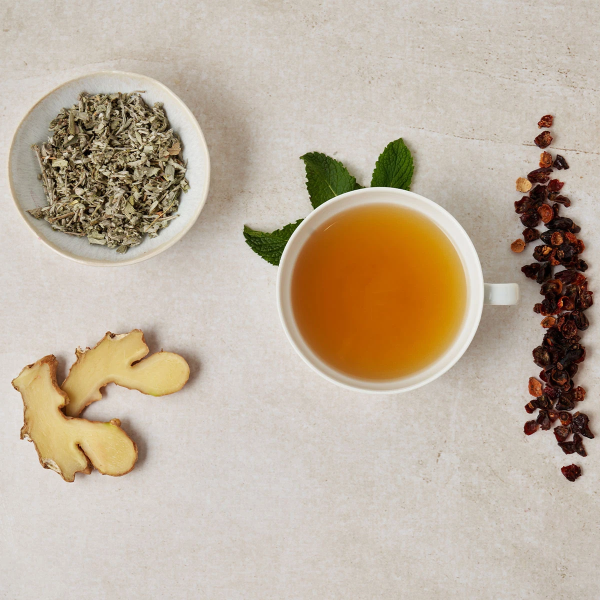 Eine Tasse Ingwer-Lemon 80er Großpackung Kräutertee steht auf einer hellen Oberfläche, umgeben von getrockneten Kräutern, frischen Ingwerscheiben, getrockneten Beeren und Minzblättern neben der Tasse.