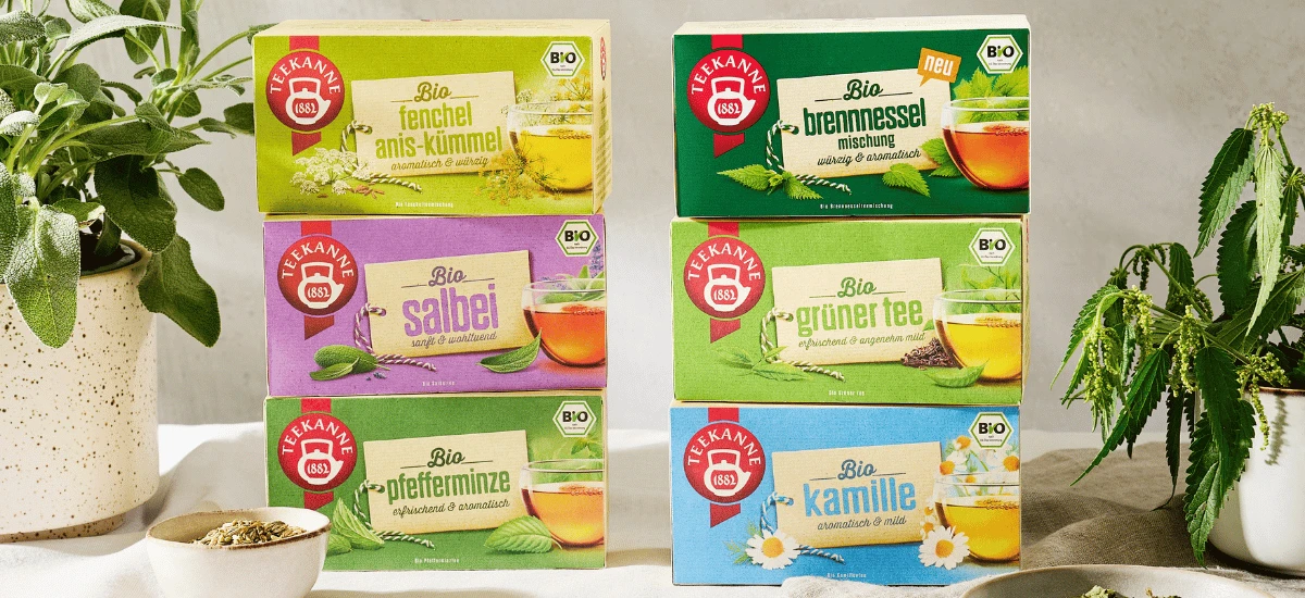 Sechs bunte Schachteln mit Teekanne Bio-Tee stehen auf einem Tisch neben Kräutertöpfen und Schalen; jede Schachtel ist mit einer anderen Kräuterteesorte beschriftet, darunter Kamille, Minze, erfrischendes Zitronengras und Bio-Brennnessel.