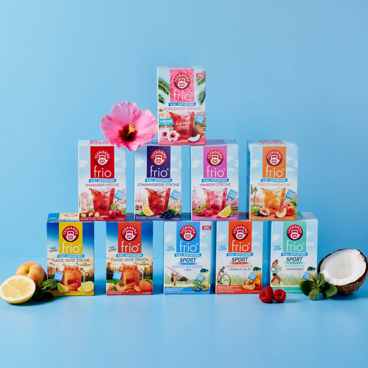 Neun frio Mix & Match Früchtetee-Getränkemixboxen pyramidenförmig angeordnet auf hellblauem Untergrund, umgeben von frischem Obst, Kokosnuss, Minzblättern und einem rosa Hibiskus – perfekt zum Mischen und Genießen von frio Tees kalt aufgegossen.