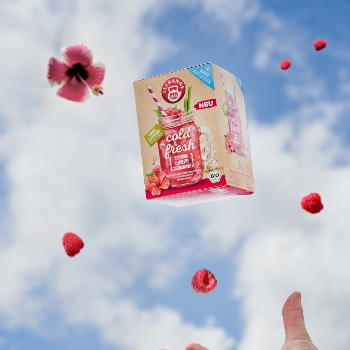 Eine Hand streckt sich nach oben zu einer schwebenden Schachtel mit kaltem und frischem Mix & Match, umgeben von Himbeeren, einer Hibiskusblüte und pikanten Grapefruitscheiben, vor einem strahlend blauen Himmel mit Wolken.