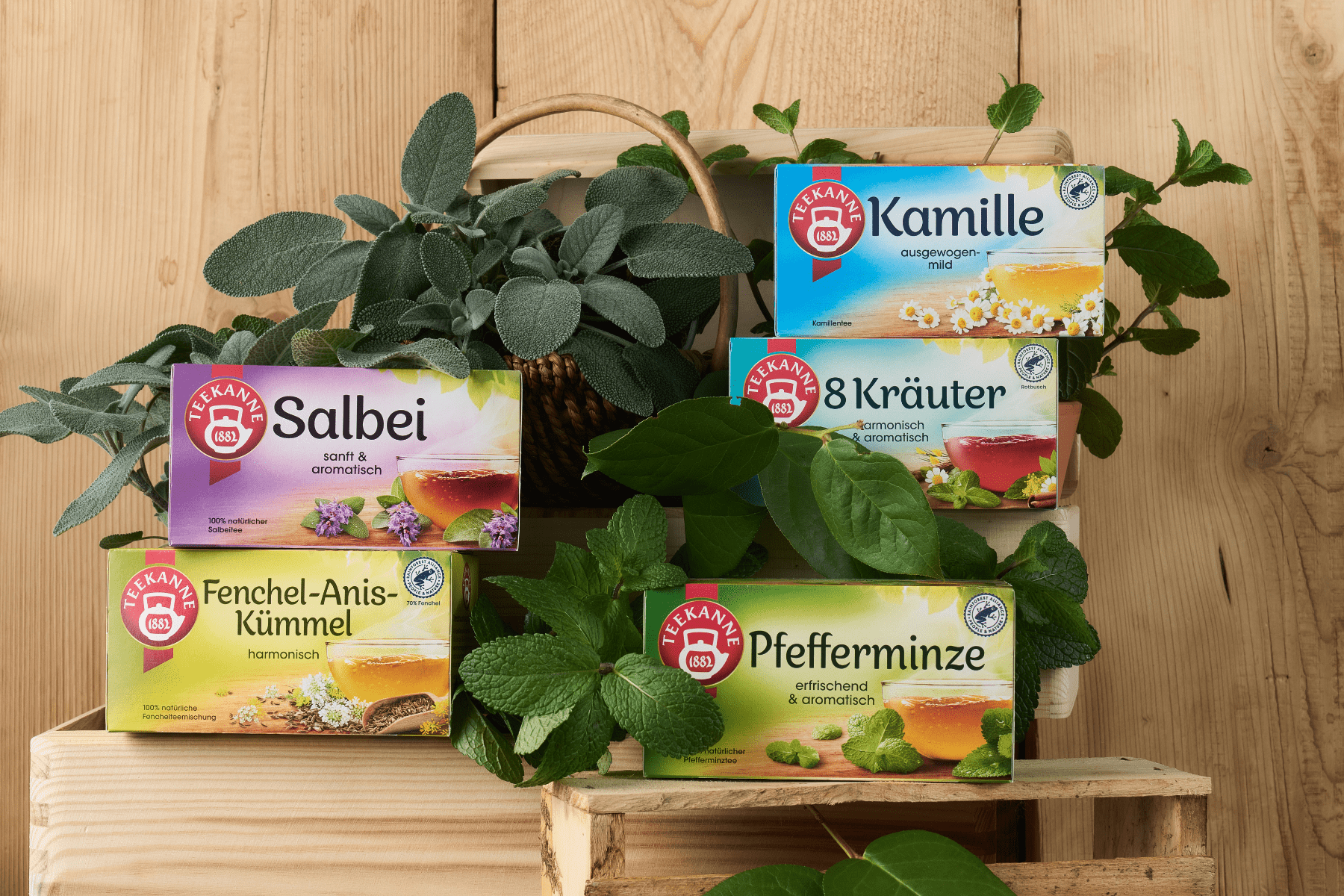 Vier Schachteln Kräuter- und Früchtetee Mix & Match werden zwischen frischen grünen Kräutern auf Holz präsentiert - ideal für Kräutertee-Fans, um ihre Lieblingsmischungen zu kombinieren.
