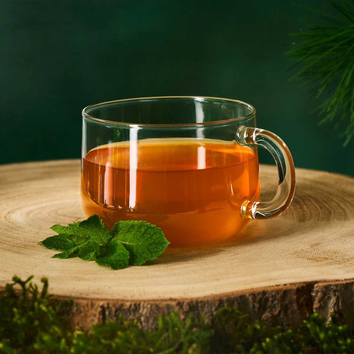 Auf einer runden Holzunterlage steht ein klarer Glasbecher, gefüllt mit bernsteinfarbenem BIO Waldbaden®-Kräutertee; daneben liegen frische Minzblätter, und das Ganze ist von Grün umgeben.