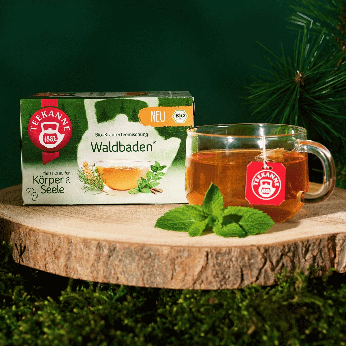 Neben einer Tasse Tee aus klarem Glas, vor der frische Pfefferminzblätter liegen, steht eine Schachtel BIO Waldbaden® vor einem grünen Hintergrund mit Tannenzweigen.