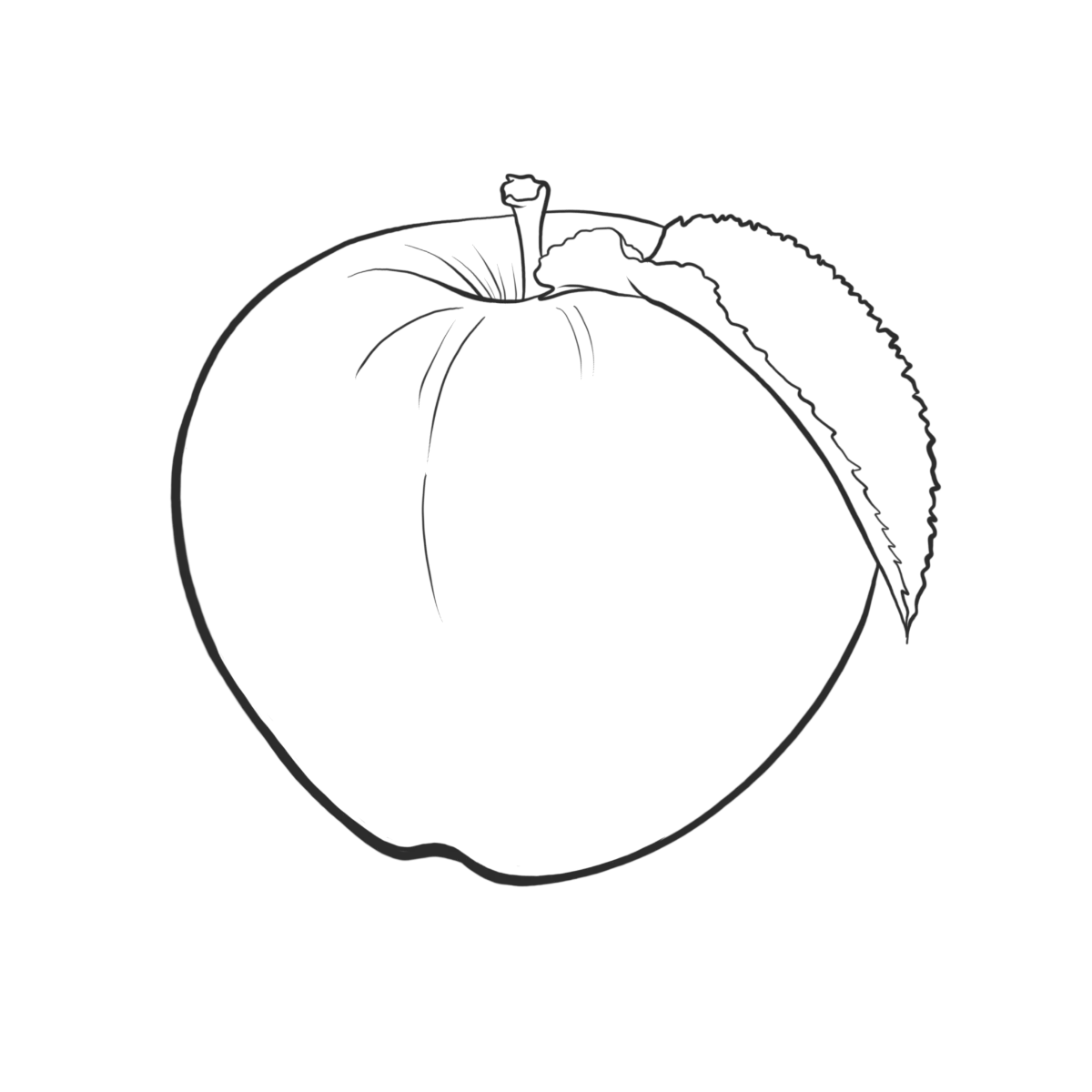 Äpfel
