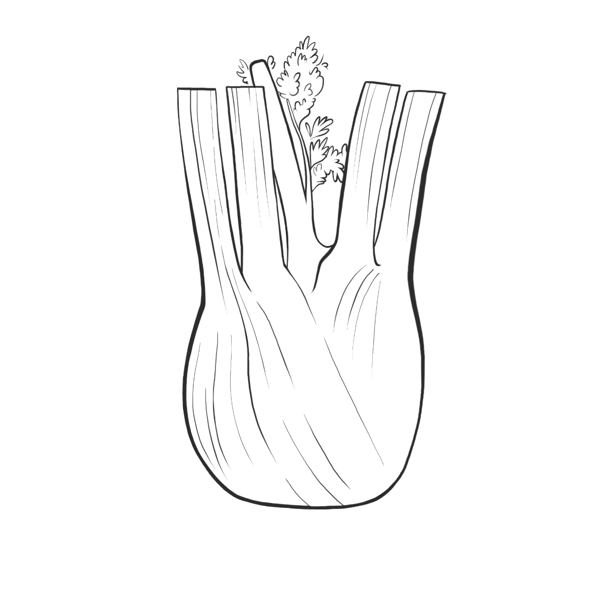 Fenchel