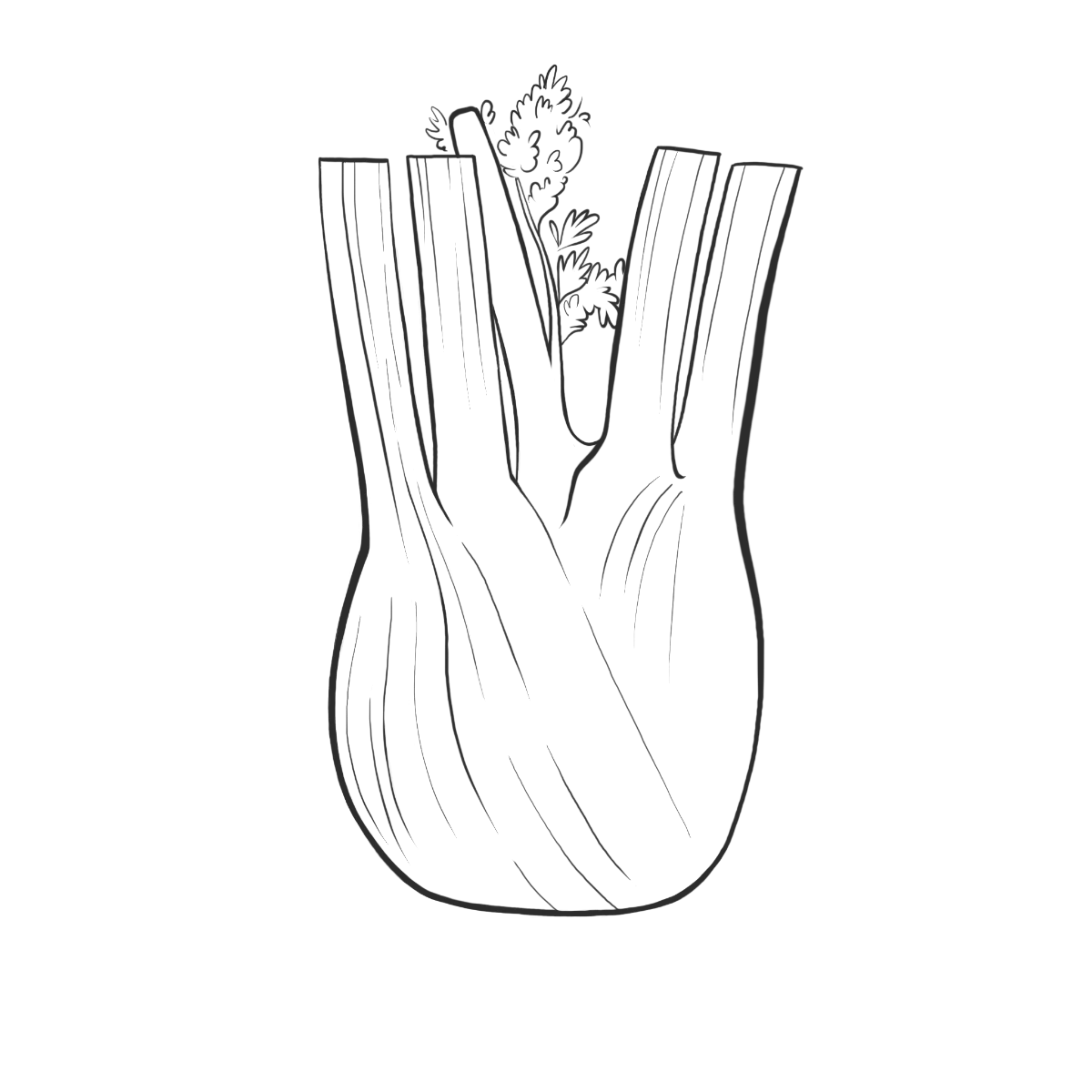 Fenchel